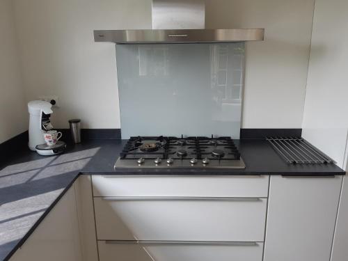 a kitchen with a stove top oven in a kitchen at Nieuwe Beachbungalow aan IJsselmeer 39 24 four seasons in Lemmer