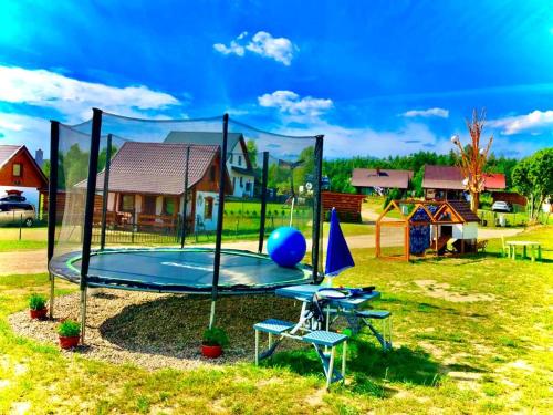 a playground with a trampoline and a blue ball on it at Domki Eden Kaszuby balia sauna alpaki mini zoo in Gołubie