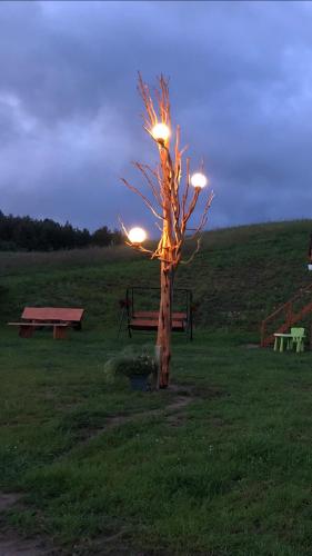 a tree with lights on it in a field at Domki Eden Kaszuby balia sauna alpaki mini zoo in Gołubie