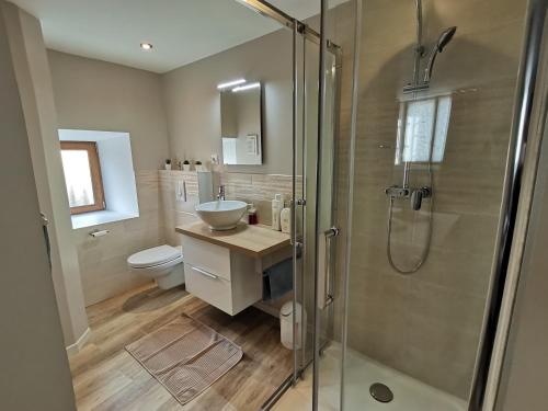 La salle de bains est pourvue d'une douche, d'un lavabo et de toilettes. dans l'établissement Gîte Le Rimbach, à Soultz-Haut-Rhin