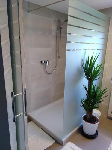 a shower with a glass door and a plant in a bathroom at Ferienwohnung Helmberger in Burgkirchen in Burgkirchen an der Alz