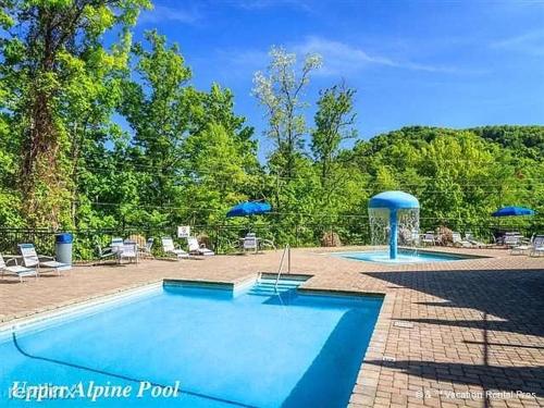 a large swimming pool with chairs and umbrellas at Christmas Bear in Gatlinburg