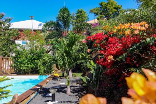 a garden with a swimming pool and some flowers at amour Deshaies in Deshaies