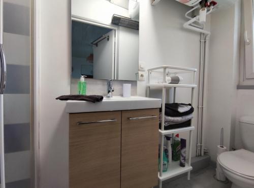 une salle de bain avec un lavabo et un miroir et des toilettes dans l'établissement Joli petit T2 entre port et vieille ville, à Boulogne-sur-Mer