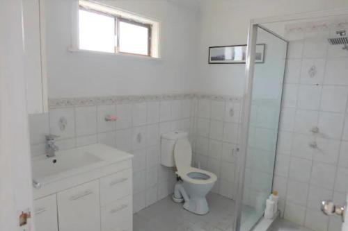 uma casa de banho com um WC, um lavatório e um chuveiro em Silver City Oasis em Broken Hill