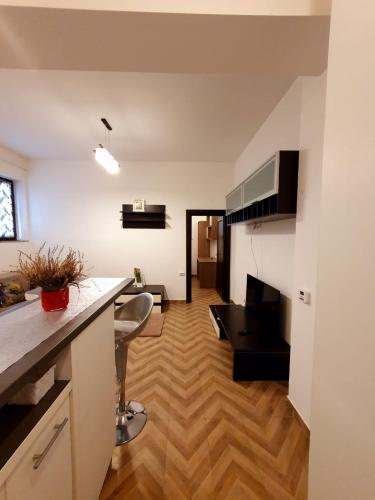 - une cuisine et un salon avec un comptoir et une table dans l'établissement Concept Residence Regim Hotelier, à Iaşi