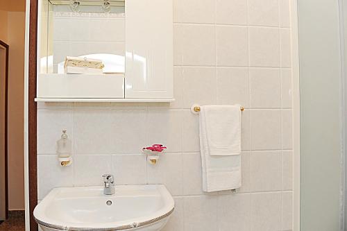 Kupatilo u objektu Apartments Bašić