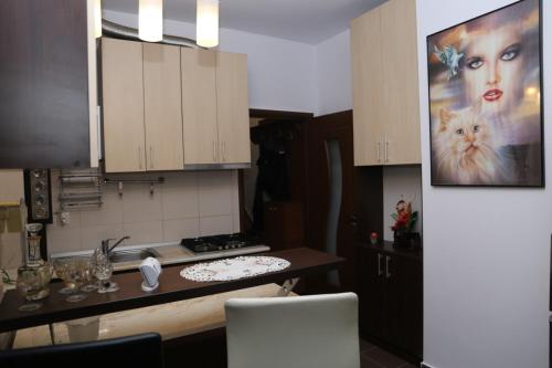 een keuken met een schilderij van een vrouw met een kat bij Balcescu Alina's apartament in Sibiu