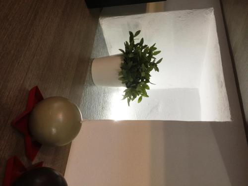 a plant sitting on top of a table at LA CASA DEI NONNI con SPA privata su richiesta in Pont Canavese