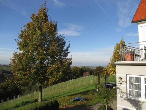 Galeriebild der Unterkunft Gäste- und Vitalhaus Sauer in Kitzeck im Sausal