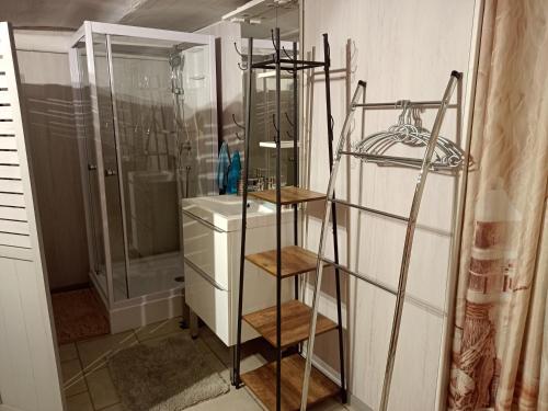 a bathroom with a shower and a toilet and shelves at Appartement dans le Morvan 16 min de l'autoroute in Beauvilliers
