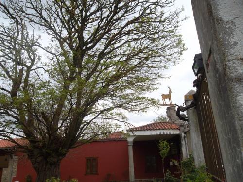 Φωτογραφία από το άλμπουμ του Molinos de Antero σε Monforte de Lemos