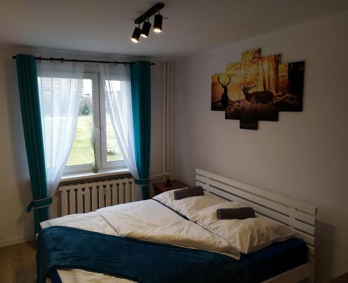 um quarto com uma cama com cortinas azuis e uma janela em Apartament Góra Szybowcowa em Jelenia Góra