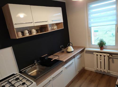 a small kitchen with a sink and a stove at Apartament Góra Szybowcowa in Jelenia Góra