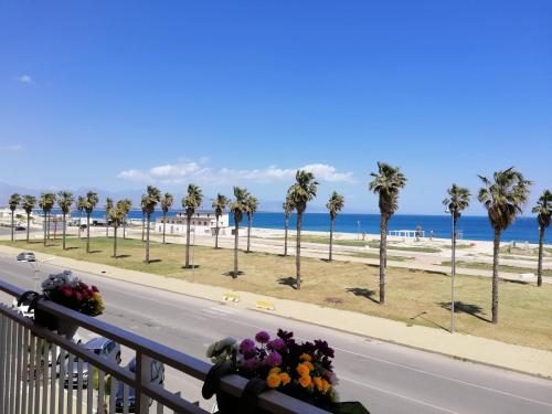 a view of the beach and palm trees from a balcony at B&B Altamarea in Marina di Schiavonea