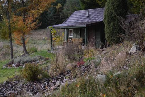 Gallery image of hut in the mid. of nowhere + priv pond+3 ha in Darżkowo