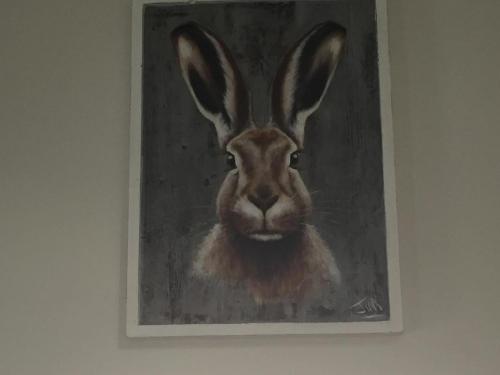Hare Cottage at Hill Top