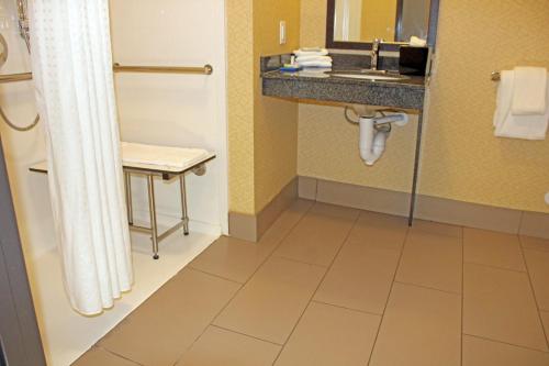 a bathroom with a sink and a mirror at Holiday Inn Express & Suites Bakersfield Airport by IHG in Bakersfield