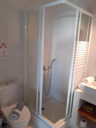 a white bathroom with a shower and a toilet at Katoikia Spathi in Spathi 