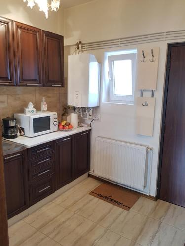 a kitchen with a microwave and a counter top at Garsoniera Mihaela in Petroşani