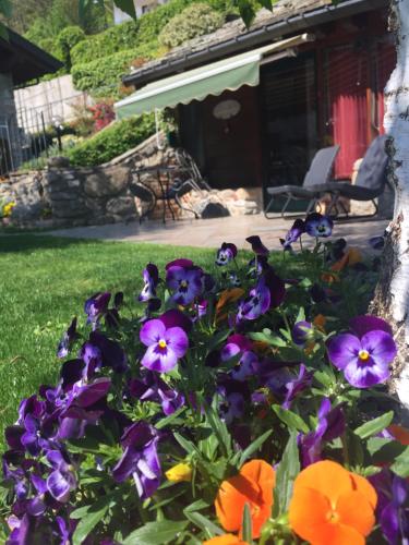a bunch of purple and orange flowers in a yard at BALMA DEI CUP con SPA privata su richiesta in Pont Canavese