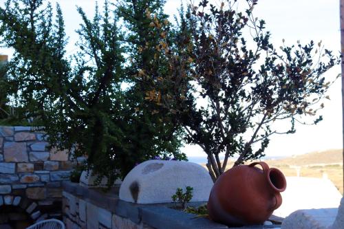 a vase sitting on a wall next to a tree at Chez Kiki et Ioannis in Naxos Chora