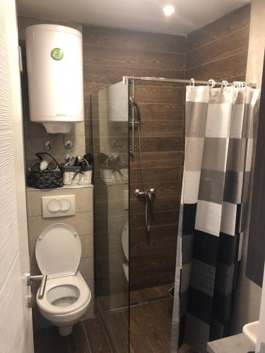 un piccolo bagno con servizi igienici e doccia di Milmari Resort - Apartman L43 a Kopaonik