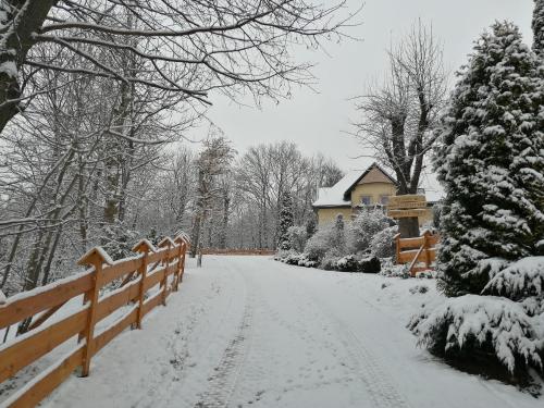 een met sneeuw bedekte oprit met een hek en een huis bij Agroturystyka Iwańcze Pole in Iwonicz-Zdrój