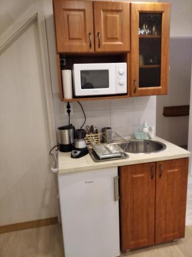a kitchen with a sink and a microwave at Gólya Vendégház in Tiszaug