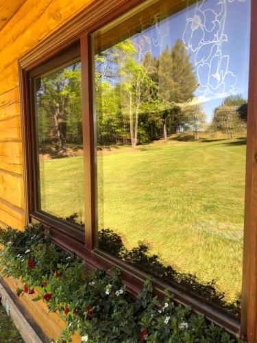 a window of a house with a view of a yard at "Čiekuri" in Aglona