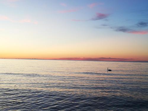 罗亚若德利旅馆的相册照片