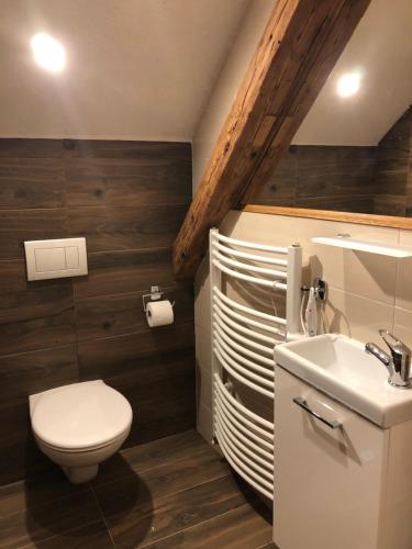a bathroom with a toilet and a sink at SG chalupa ŠTIKOV - Podkrkonoší - s celoročním privátním wellness in Nová Paka