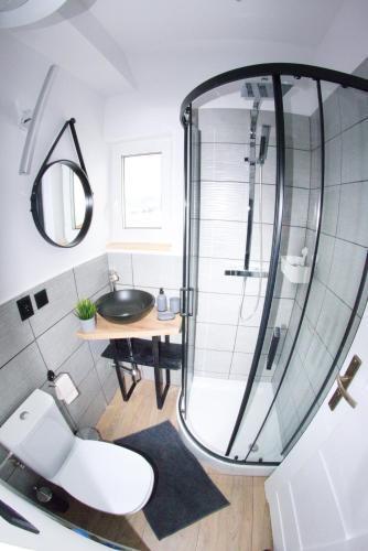 a bathroom with a sink and a mirror at Domek na Wzgórzu in Orelec