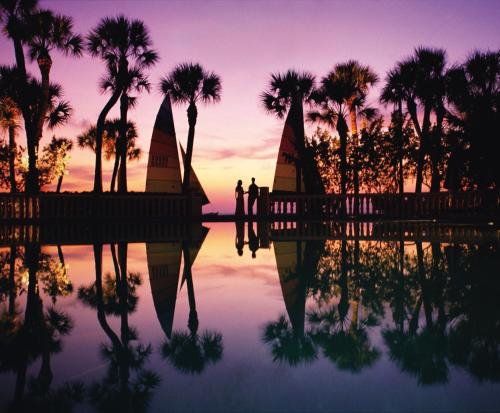 a large body of water with palm trees at The Don CeSar - Recently Renovated in St Pete Beach