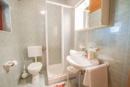 a bathroom with a shower and a toilet and a sink at Haus Roko in Rovinj