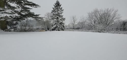 a snow covered field with two trees and a fence at Coundon Lodge Coventry in Coventry