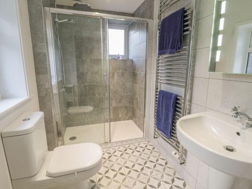 a bathroom with a shower and a toilet and a sink at 1 Rhys Terrace in Pennal