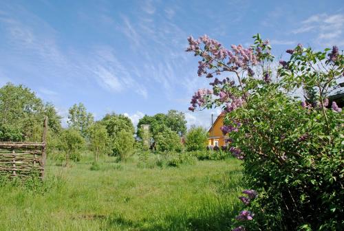 a field with a house in the background at Ferienwohnung Karow in Karow