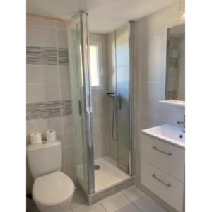 une salle de bain avec une douche, des toilettes et un lavabo dans l'établissement Résidence Azur, au Barcarès