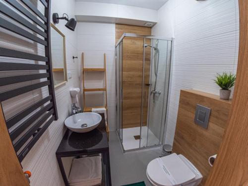 ein Bad mit einer Dusche, einem WC und einem Waschbecken in der Unterkunft Willa VITA in Muszyna