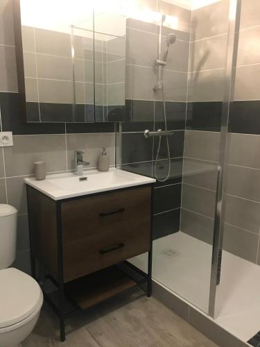 une salle de bain avec une douche, un lavabo et des toilettes dans l'établissement Les Granges du Pichat, à Froges