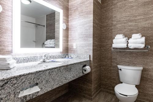 a bathroom with a toilet and a sink with a mirror at Holiday Inn Express & Suites New Martinsville by IHG in New Martinsville