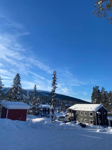 a house in the snow with snow covered trees at VARIJLYAN in Sälen