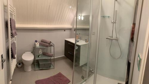 uma casa de banho com um chuveiro e um WC. em Gite de la Baie d'Authie em Groffliers