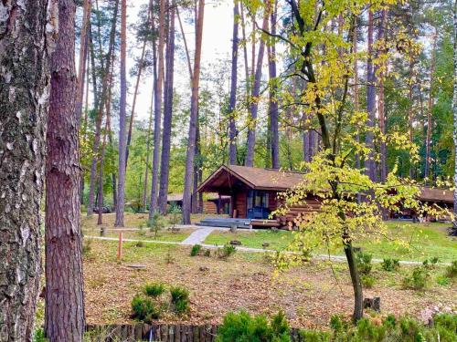 Zahrada ubytování Resort Stariy Prud