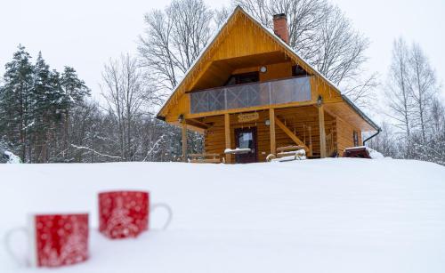 a log cabin in the snow with a cup at "Čiekuri" in Aglona