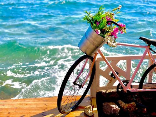 a bike with a basket filled with flowers on the beach at Happy Land Hotel Dahab in Dahab