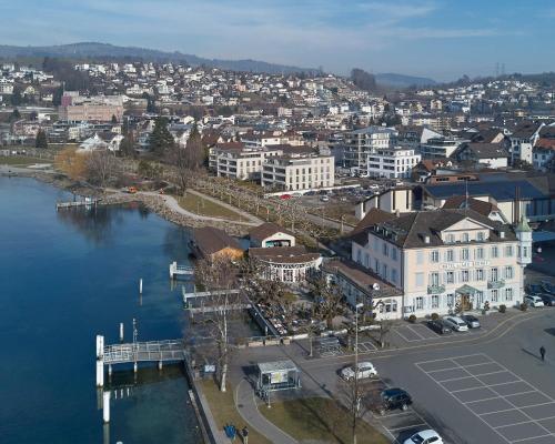 an aerial view of a city with a body of water at Hotel Restaurant Seehof in Küssnacht