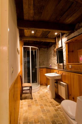 une salle de bain avec une douche, un lavabo et des toilettes dans l'établissement Gite E'table Charlannes, à Hautefage