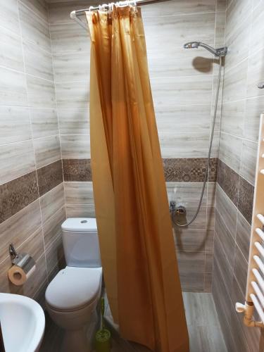 a bathroom with a shower with a toilet and a sink at Jermatun Guest House in Dilijan